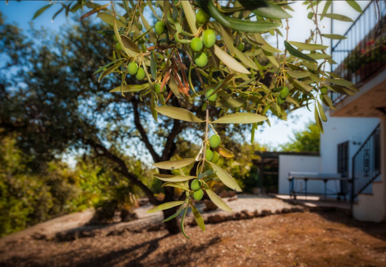 Villa Naranja has a private pool, garden with fruit orchard and lots of privacy. In Alhaurin el Grande, Andalusië