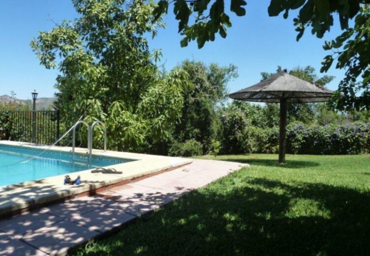 Finca de la Torre with heated private pool, garden with fruit trees and lots of privacy in Alhaurin de la Torre, Andalusië