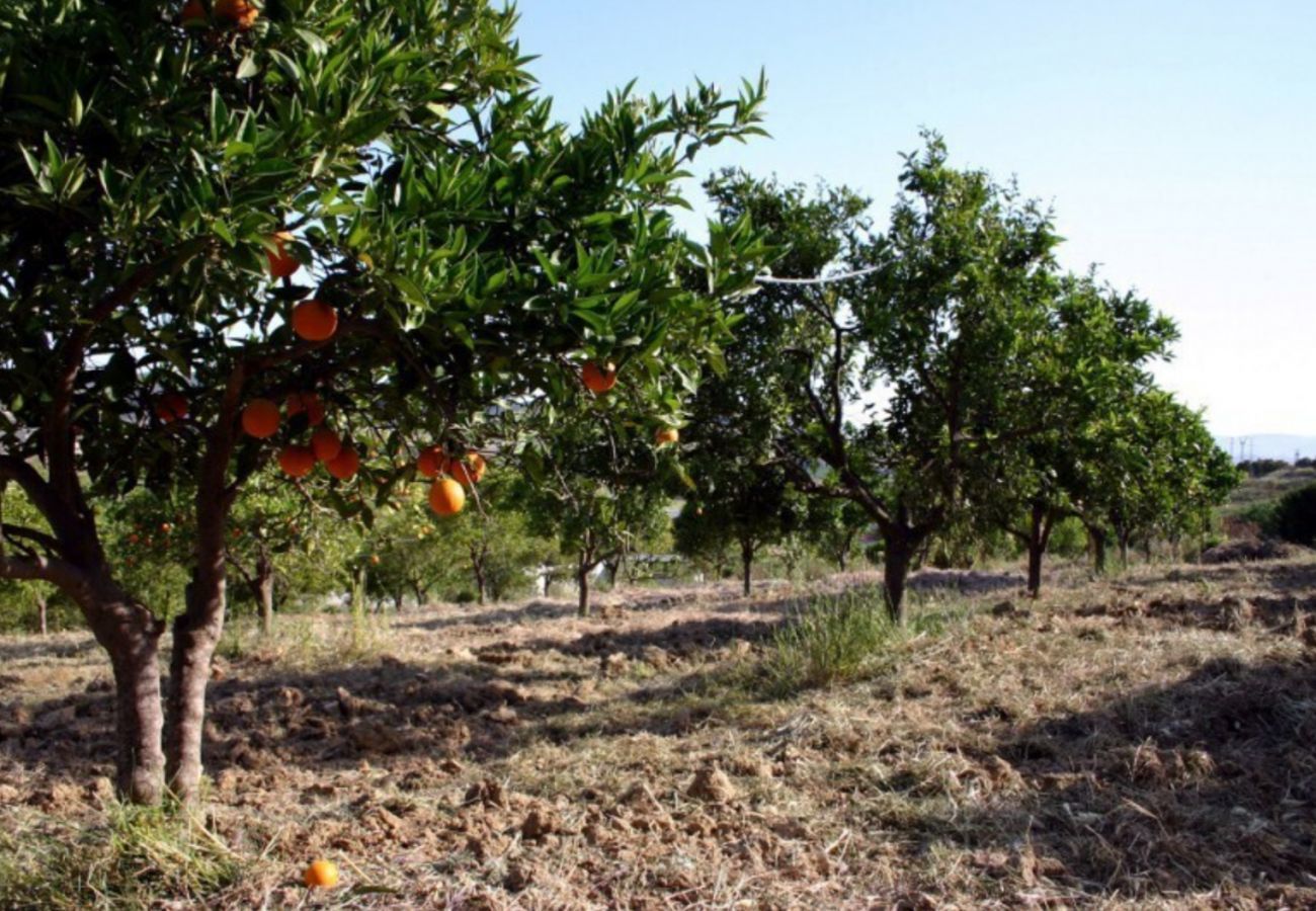 Finca de la Torre with heated private pool, garden with fruit trees and lots of privacy in Alhaurin de la Torre, Andalusië