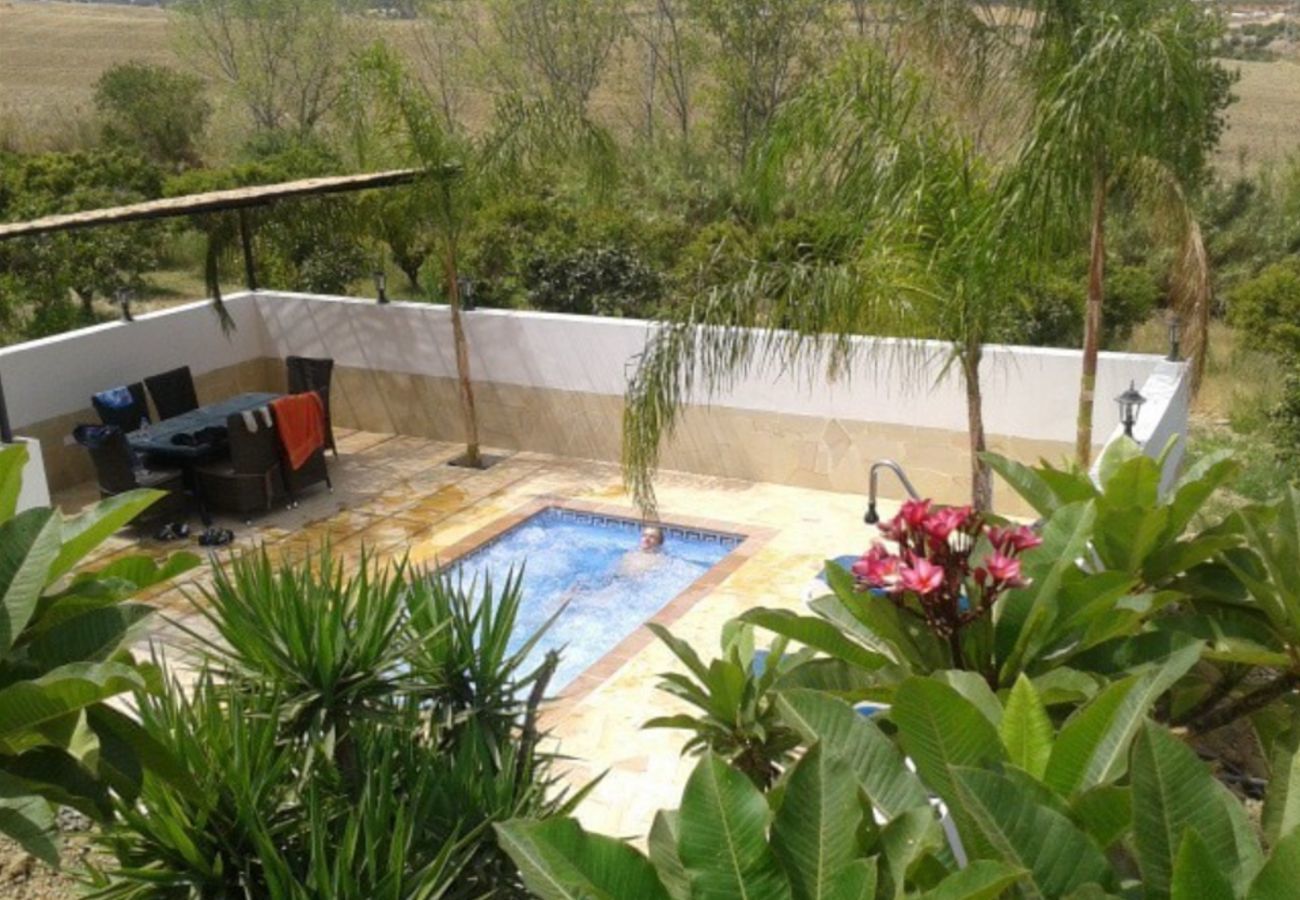 Finca de la Torre with heated private pool, garden with fruit trees and lots of privacy in Alhaurin de la Torre, Andalusië