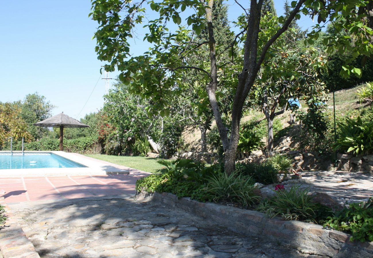 Finca de la Torre with heated private pool, garden with fruit trees and lots of privacy in Alhaurin de la Torre, Andalusië