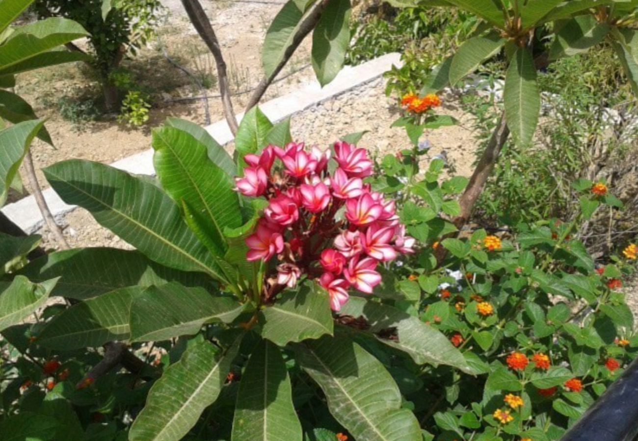 Finca de la Torre with heated private pool, garden with fruit trees and lots of privacy in Alhaurin de la Torre, Andalusië