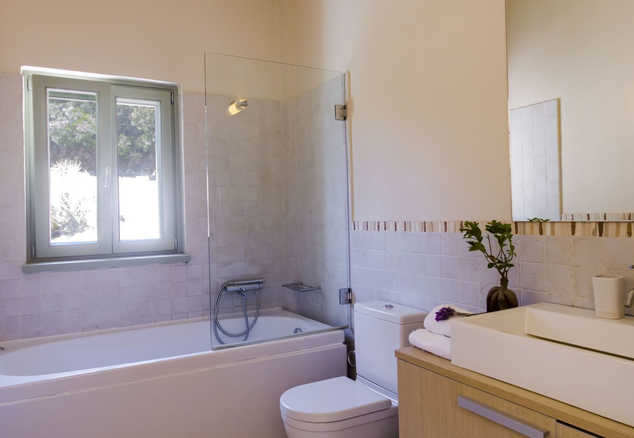 Villa in Vasiliki - Villa Eos