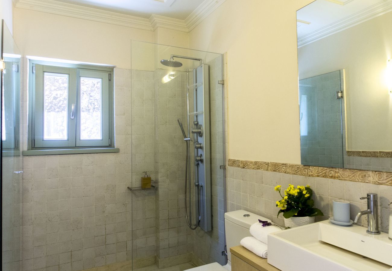 Villa in Vasiliki - Villa Eos