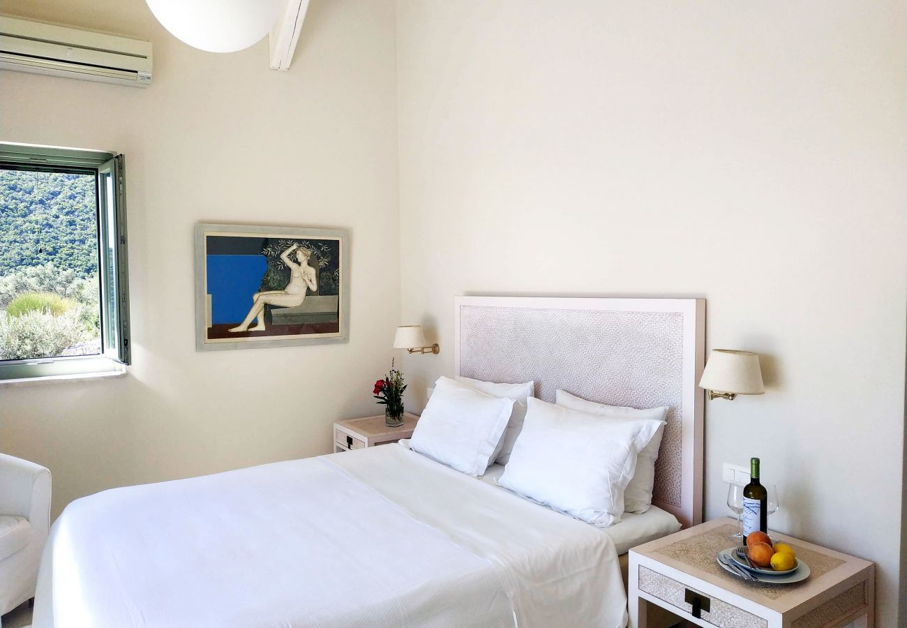 Villa in Vasiliki - Villa Helios
