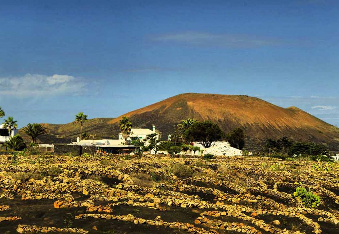 Villa Masdache is a lovely holiday home with large, tropical garden and volcano views in Masdache, Lanzarote