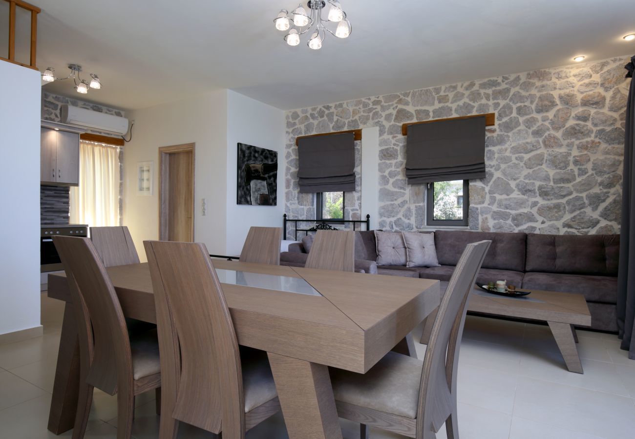 Villa in Tsoukalades - Villa Illios