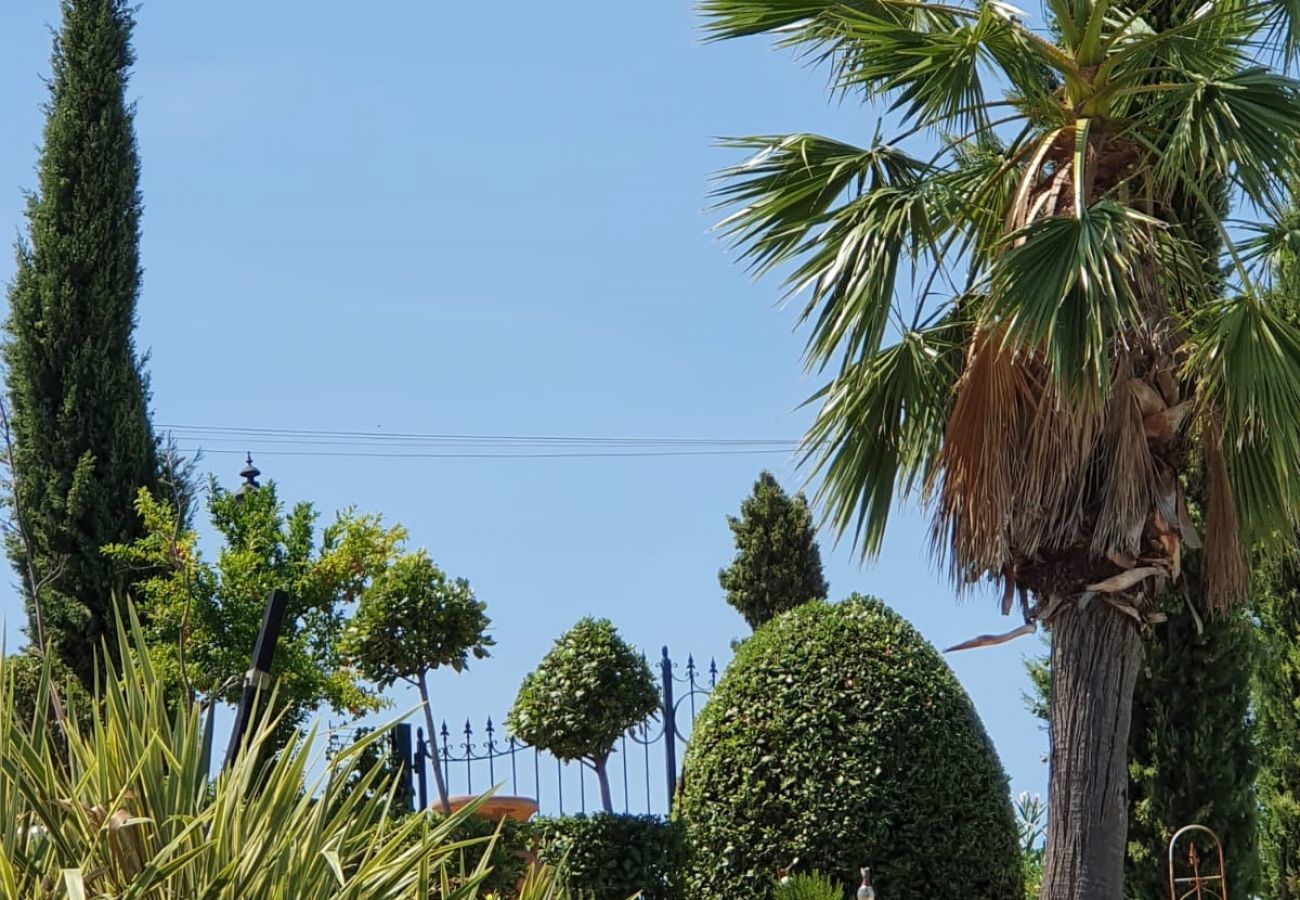 Villa in Offida - Casa La Farfalla