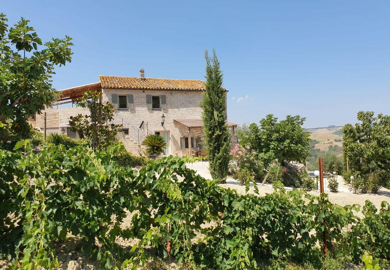 Villa in Offida - Casa La Farfalla
