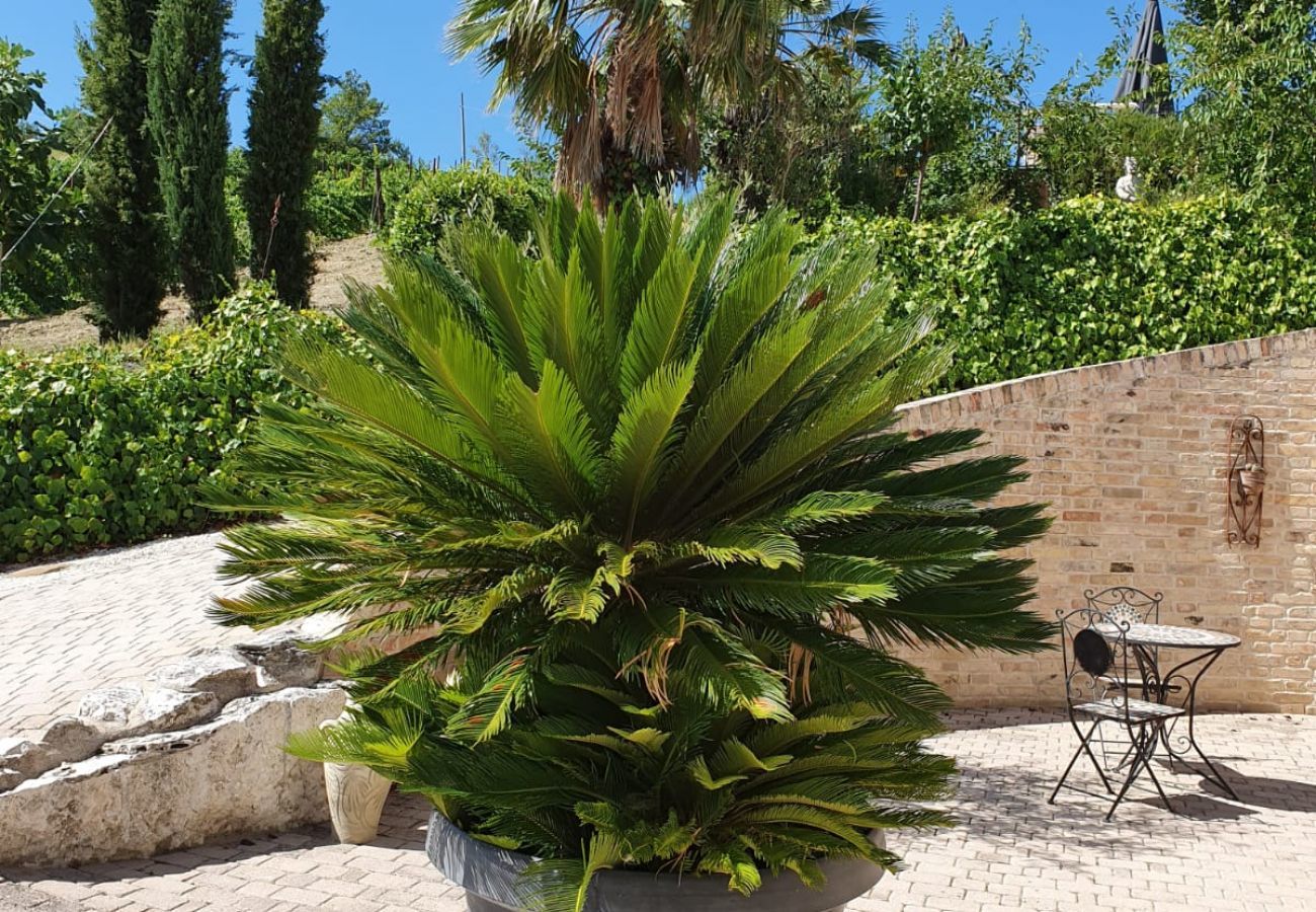 Villa in Offida - Casa La Farfalla
