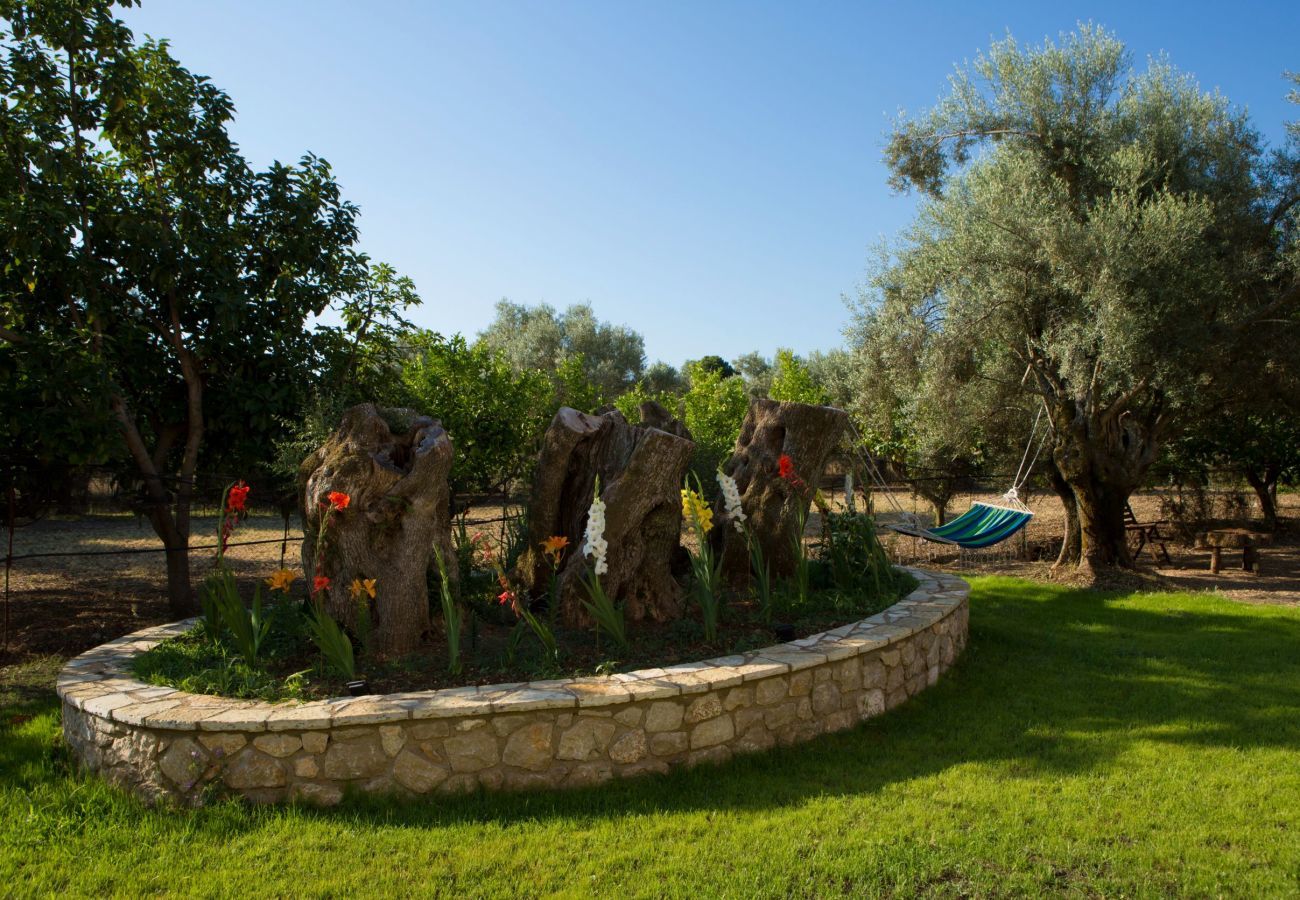Villa Elionas is a modern, child-friendly holiday villa with olive garden and private pool in Lefkada City, Lefkada