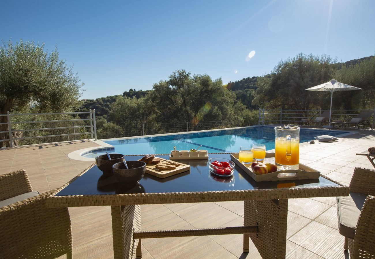 Villa in Katouna - Villa Daphne