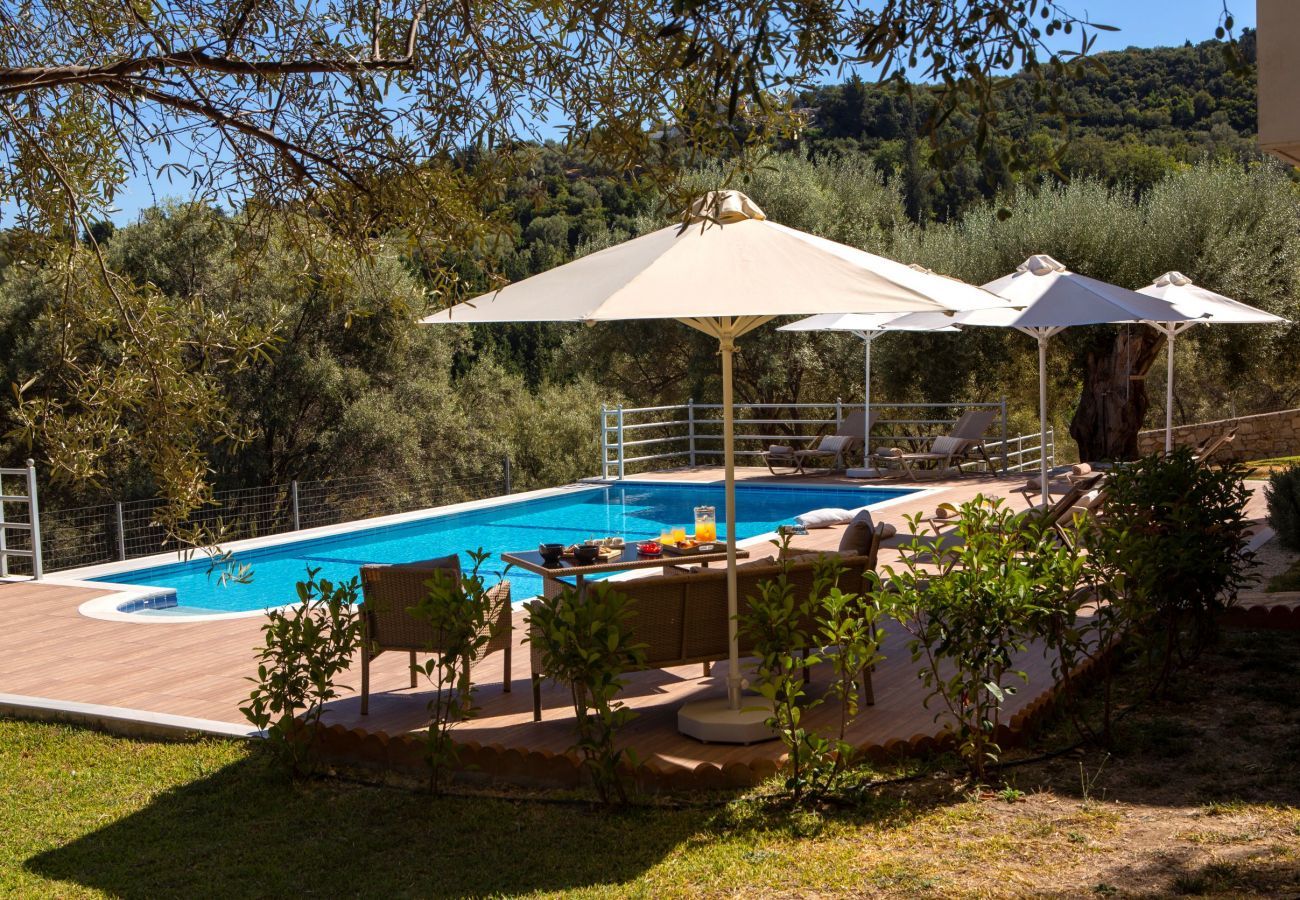Villa in Katouna - Villa Daphne