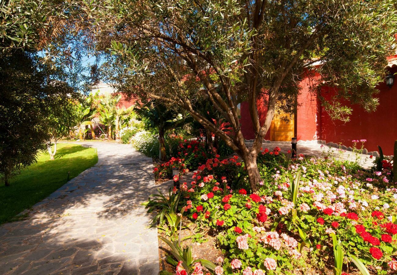 Villa in Arucas - Finca Arucas