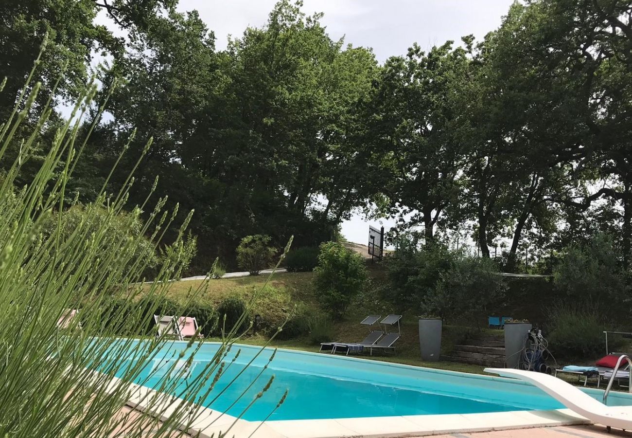 Apartment in Santa Maria Nuova - Appartement Monti