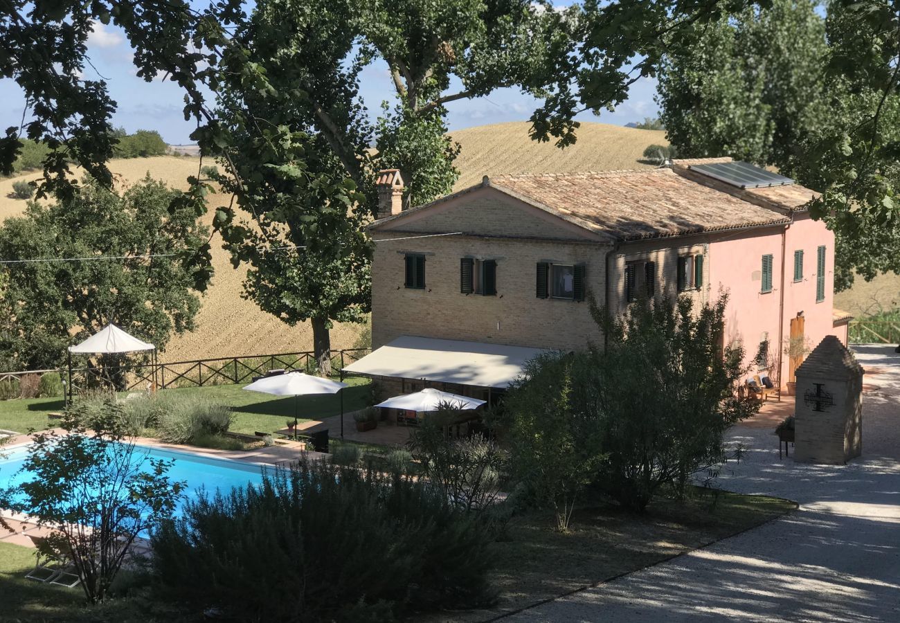 Apartment in Santa Maria Nuova - Appartement Monti