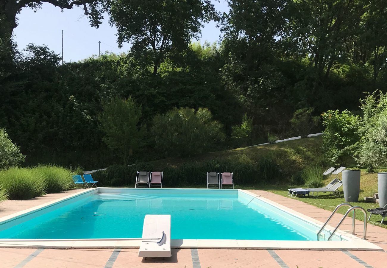 Apartment in Santa Maria Nuova - Appartement Monti