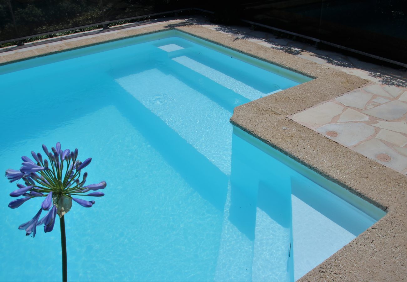 Villa in Les Issambres - Villa Mila 