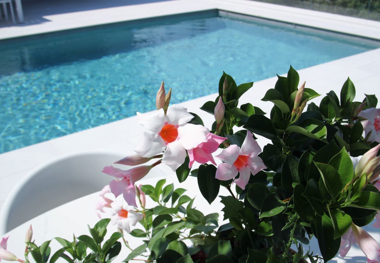 Villa in Les Issambres - Villa Feline