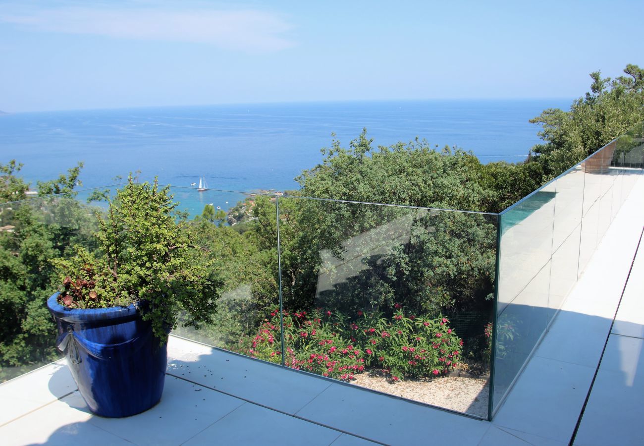 Villa in Les Issambres - Villa Feline