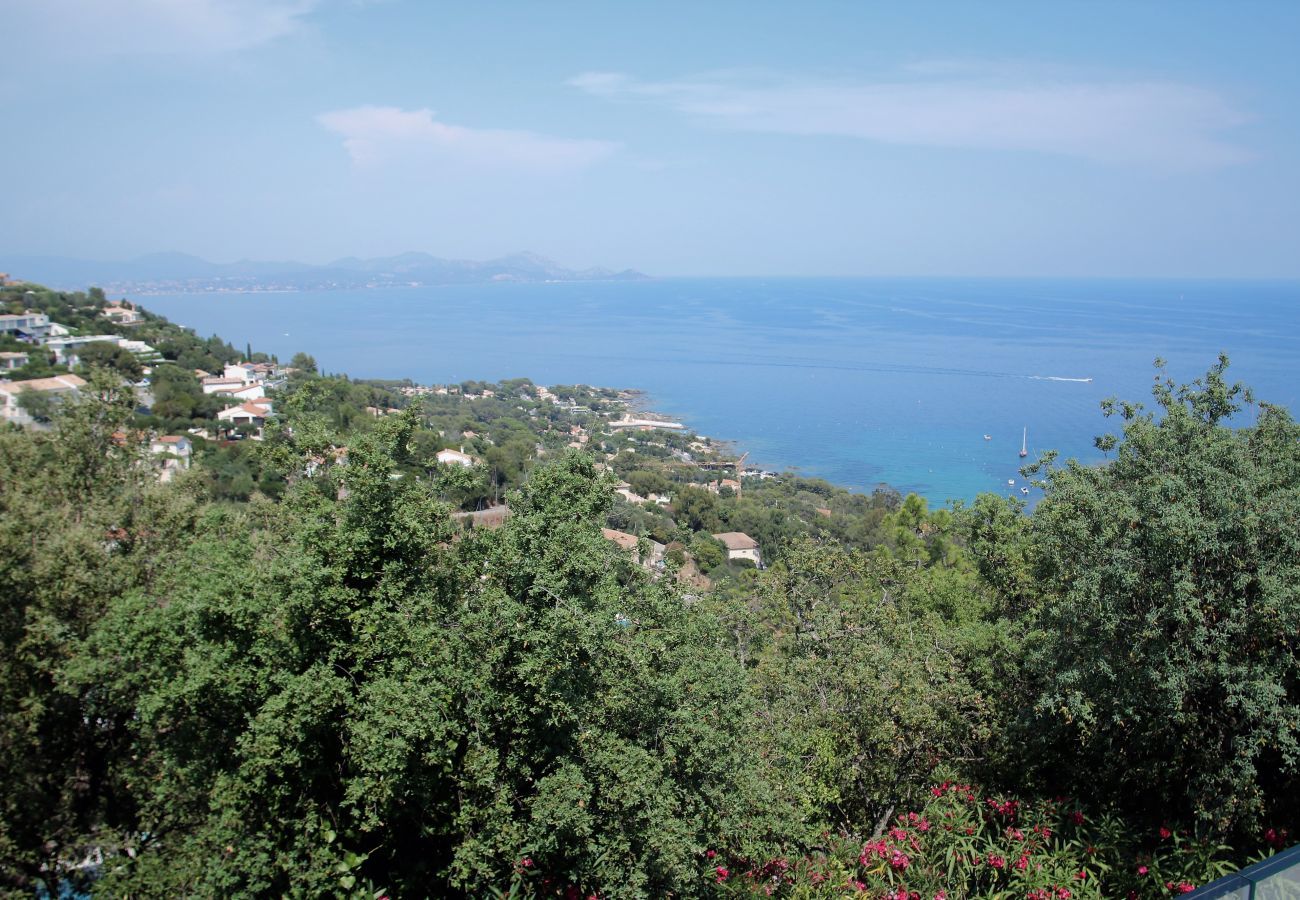 Villa in Les Issambres - Villa Feline