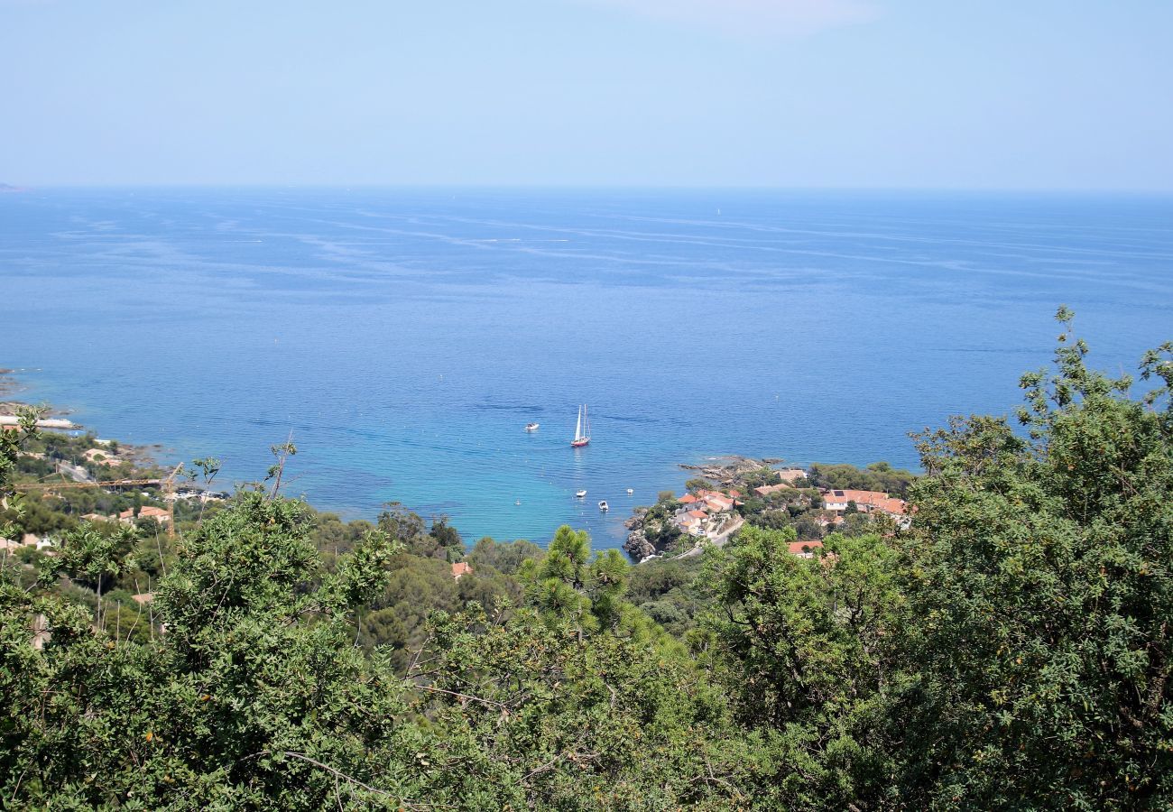 Villa in Les Issambres - Villa Feline