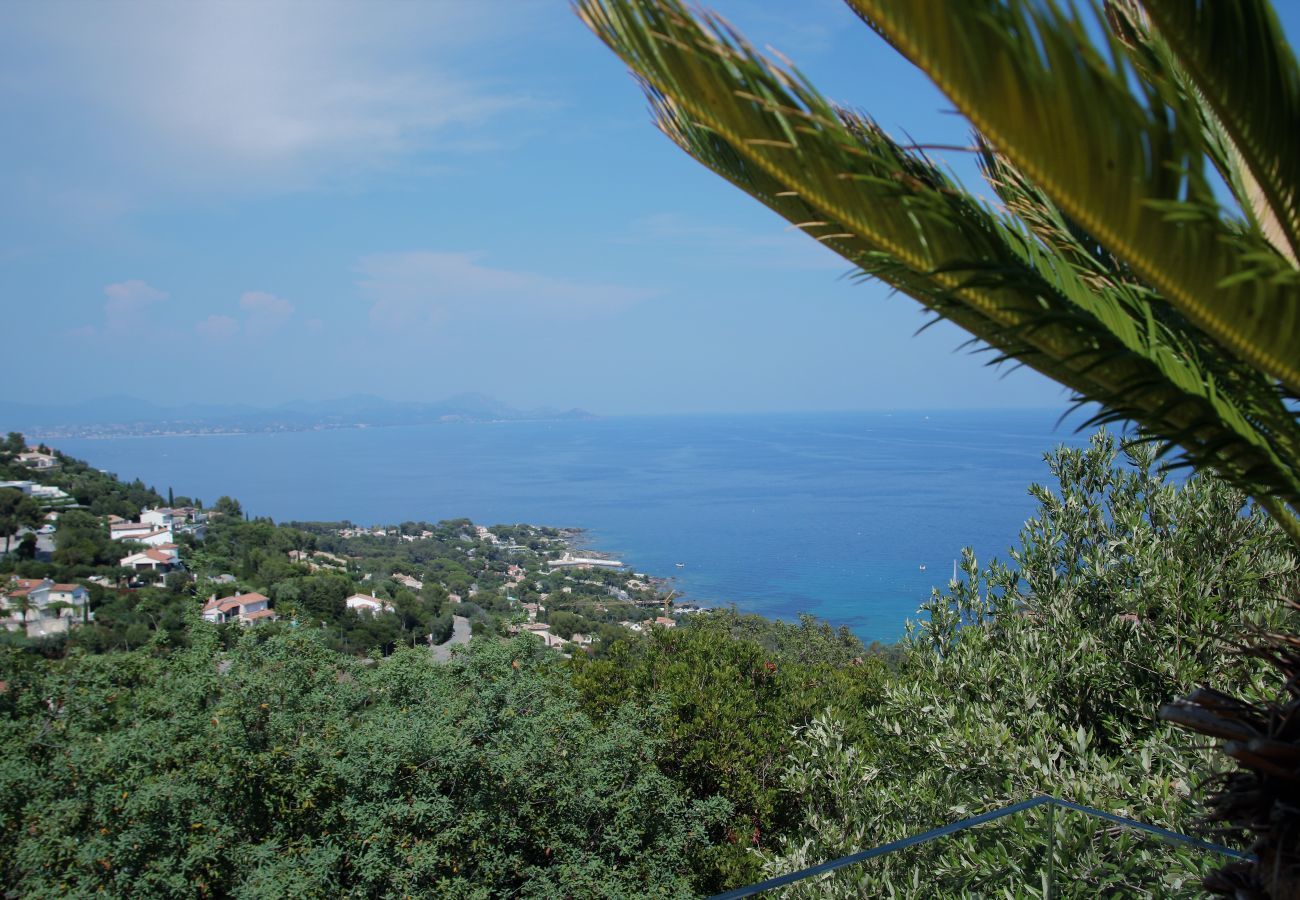 Villa in Les Issambres - Villa Feline