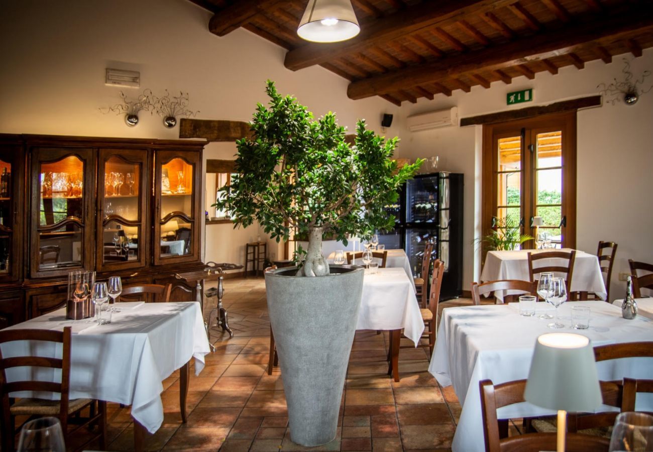 Apartment in Montemaggiore al Metauro - Appartement Metauro II