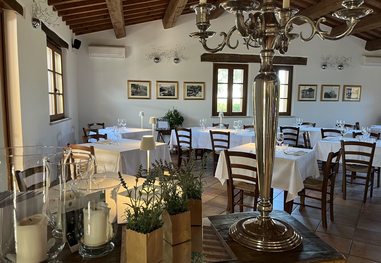 Apartment in Montemaggiore al Metauro - Appartement Metauro II