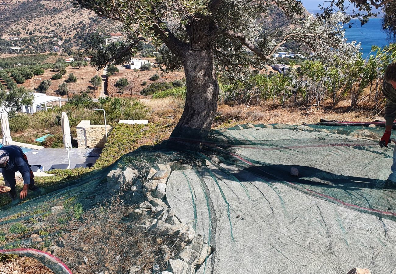 Villa in Agia Galini - Villa Galini Breeze