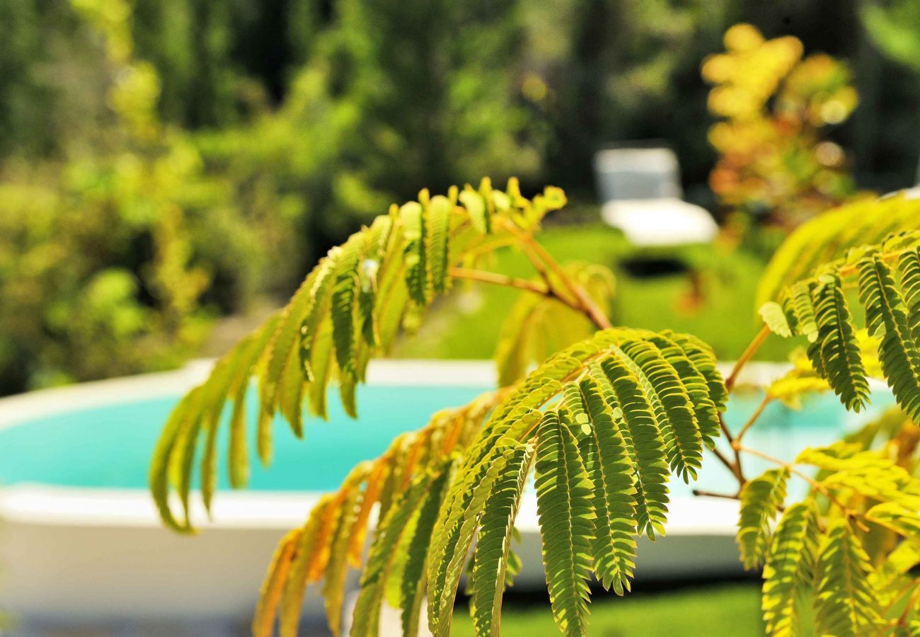 Villa in Lazarata - Villa Ermis