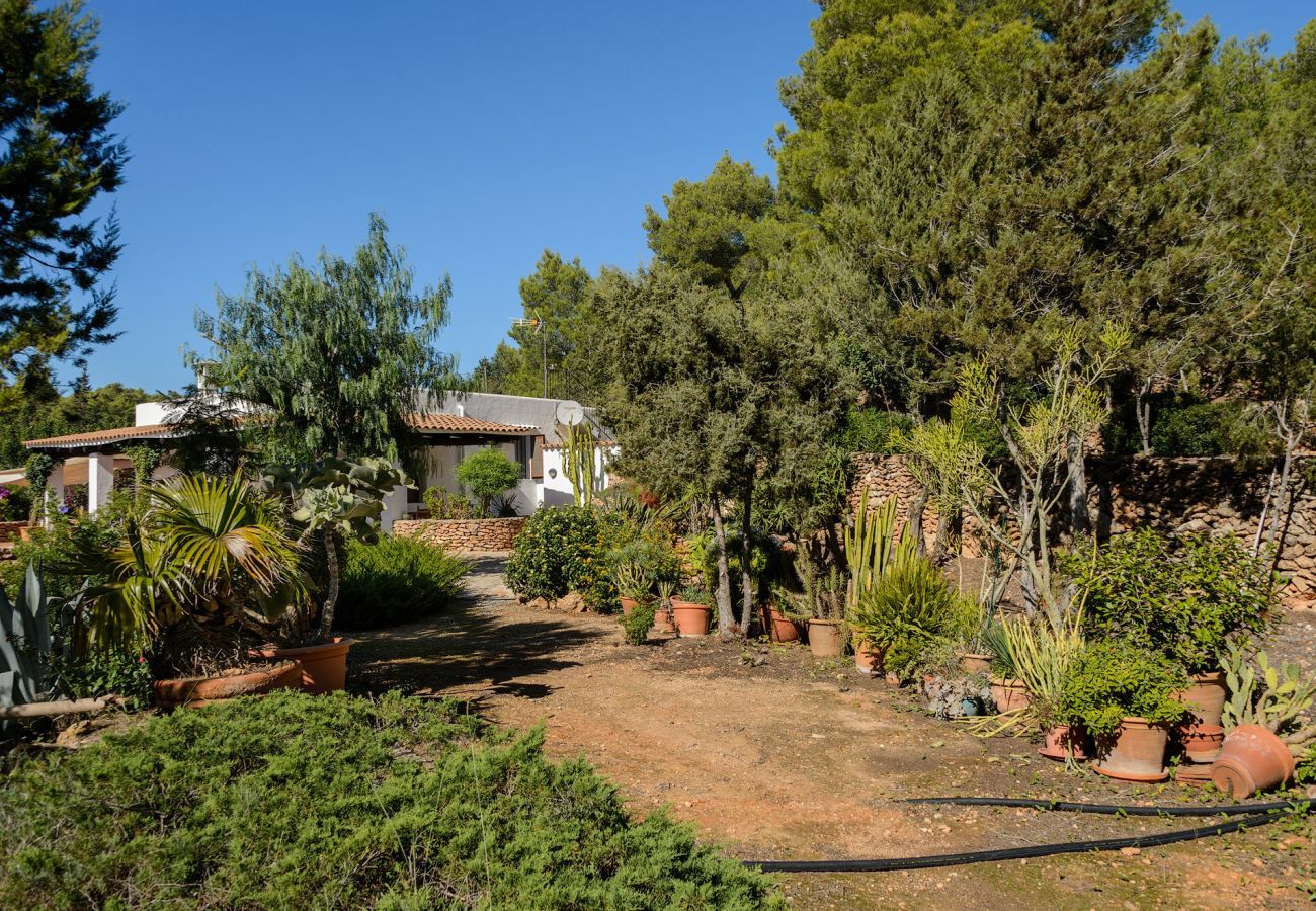 Casa Lila is a stylish holiday home with pool, garden and privacy walking distance of San Carlos, Ibiza