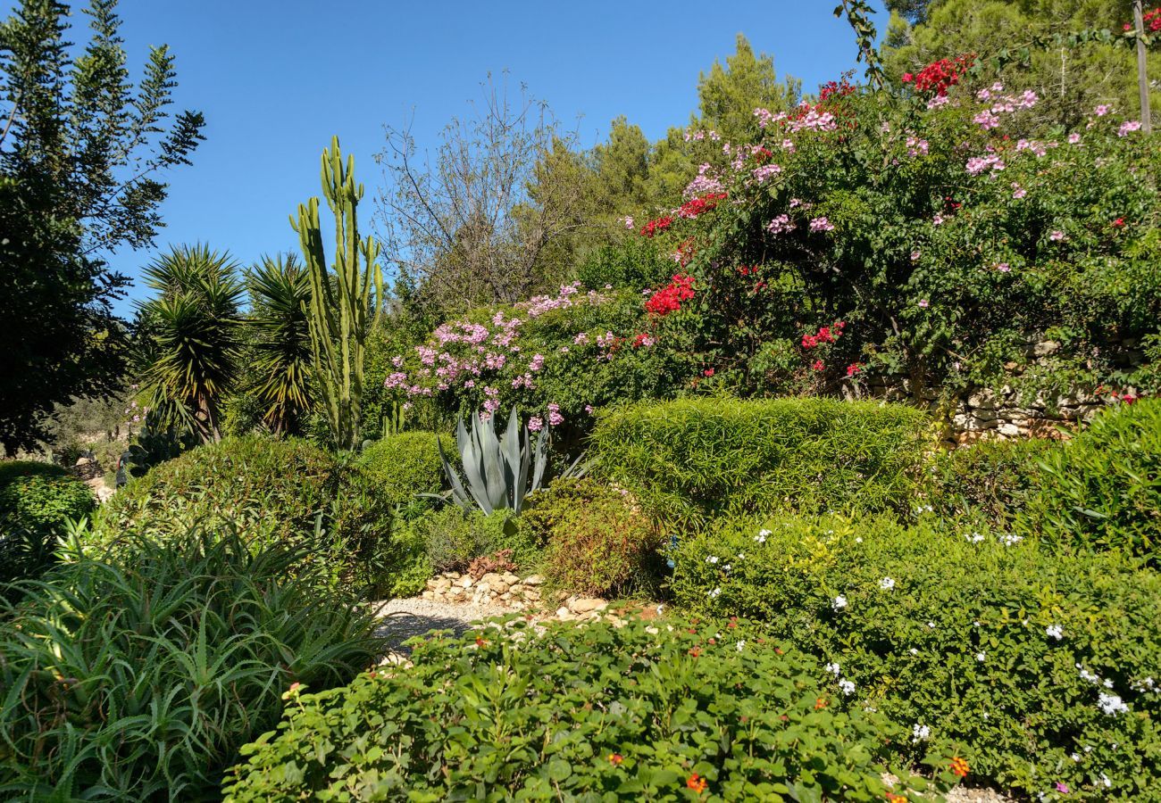 Casa Lila is a stylish holiday home with pool, garden and privacy walking distance of San Carlos, Ibiza