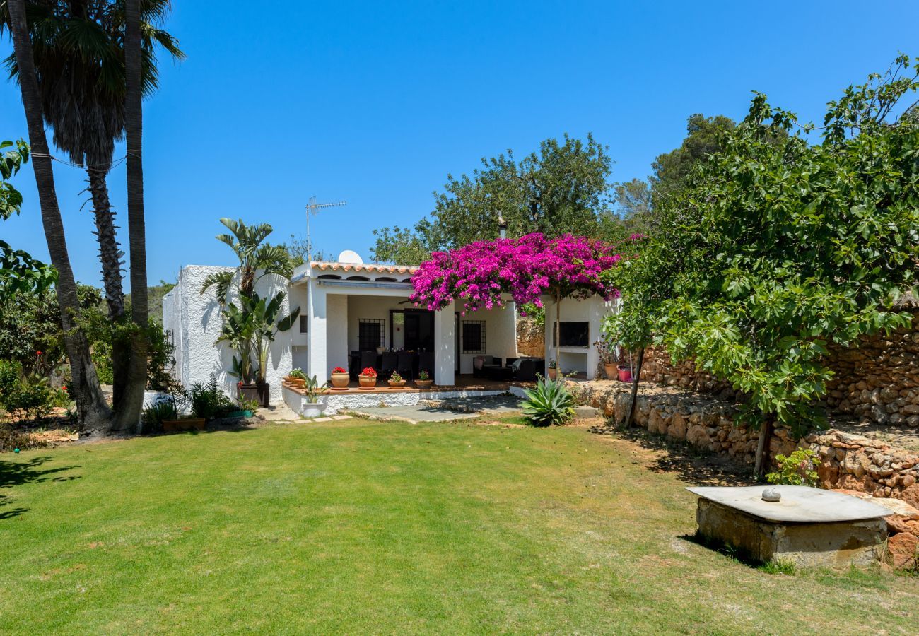 Luxury Ibiza Villa Mariposa with private pool and beautiful garden. Near beach of Benirras in San Miguel 