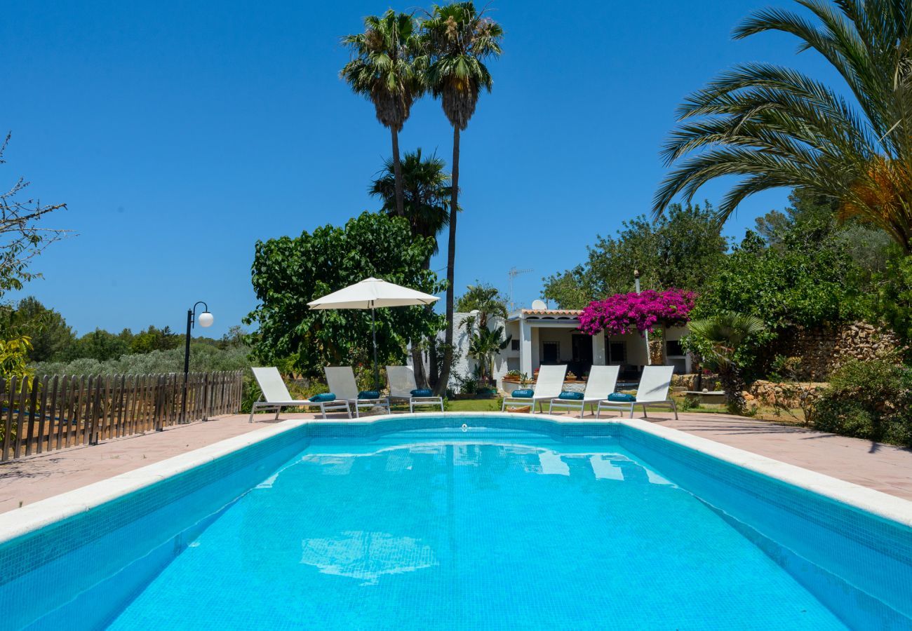 Luxury Ibiza Villa Mariposa with private pool and beautiful garden. Near beach of Benirras in San Miguel 