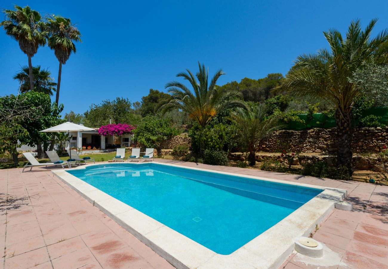Luxury Ibiza Villa Mariposa with private pool and beautiful garden. Near beach of Benirras in San Miguel 