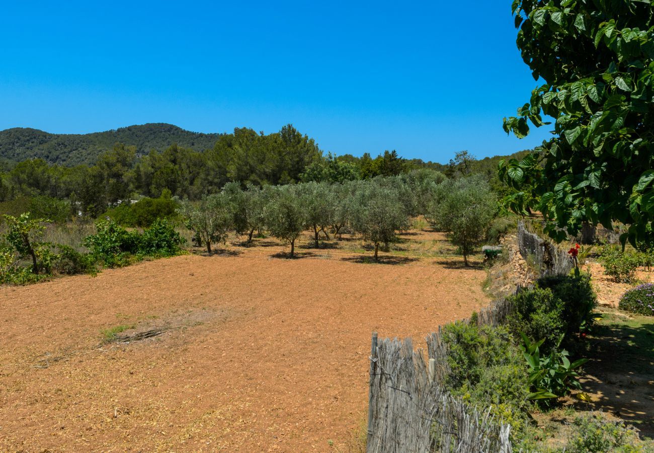 Luxury Ibiza Villa Mariposa with private pool and beautiful garden. Near beach of Benirras in San Miguel 