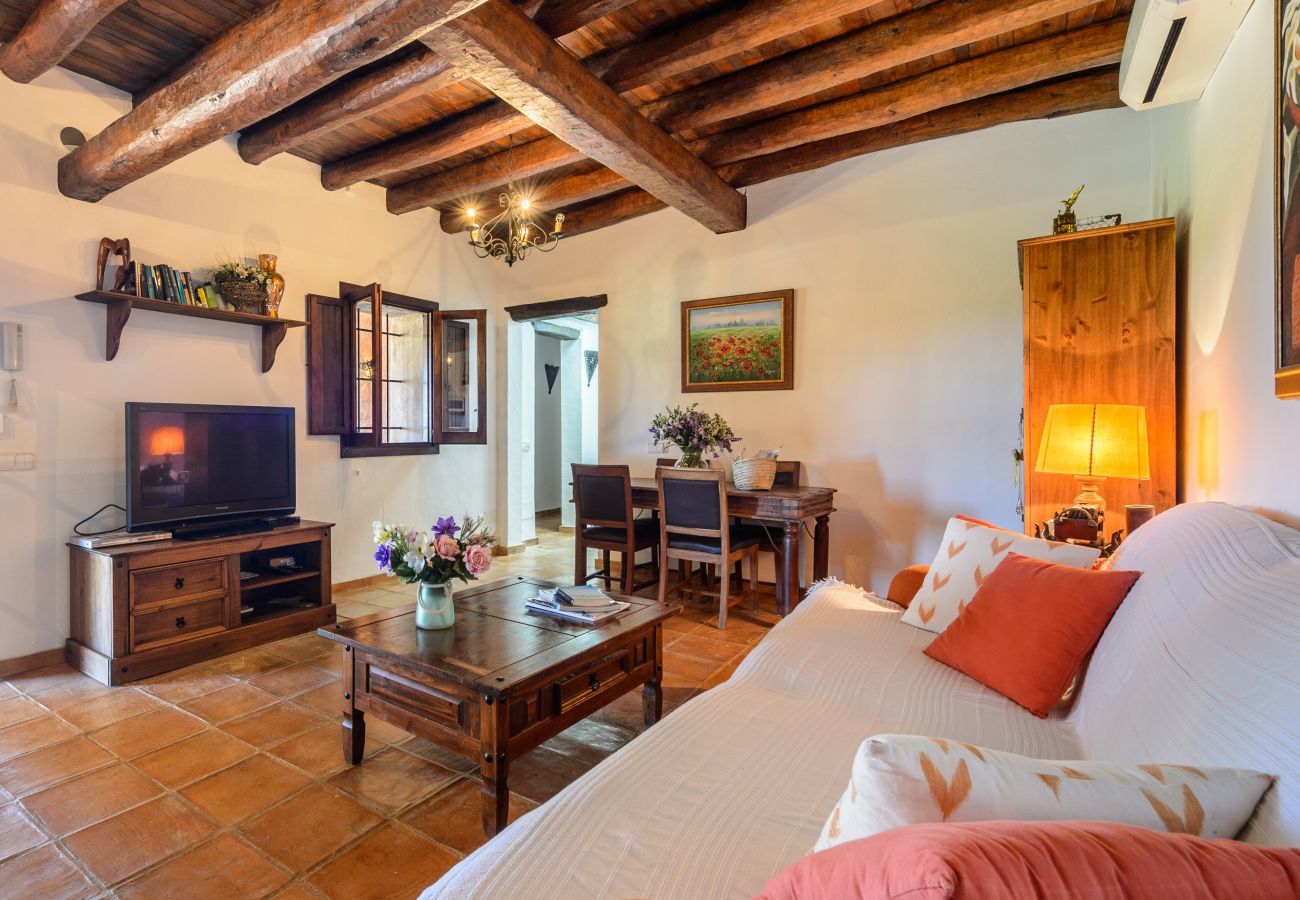Villa in Santa Eulalia des Riu - Finca Nuria