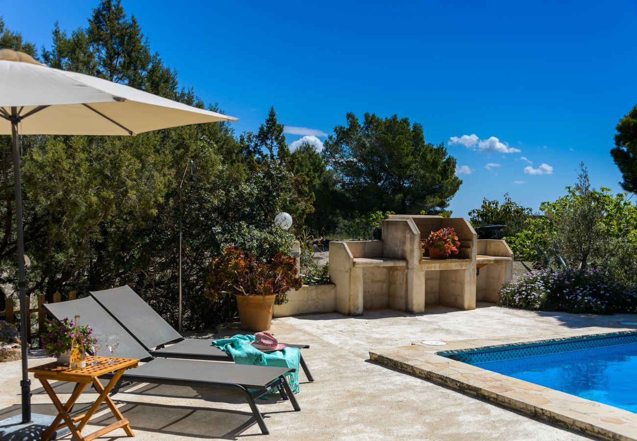 Villa in Sant Josep de Sa Talaia - Villa Serena
