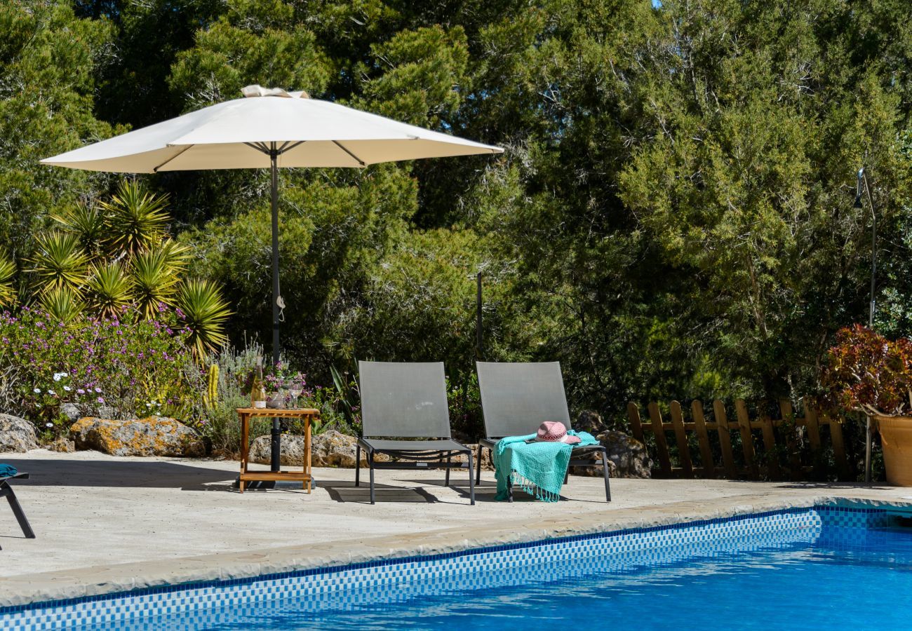 Villa in Sant Josep de Sa Talaia - Villa Serena