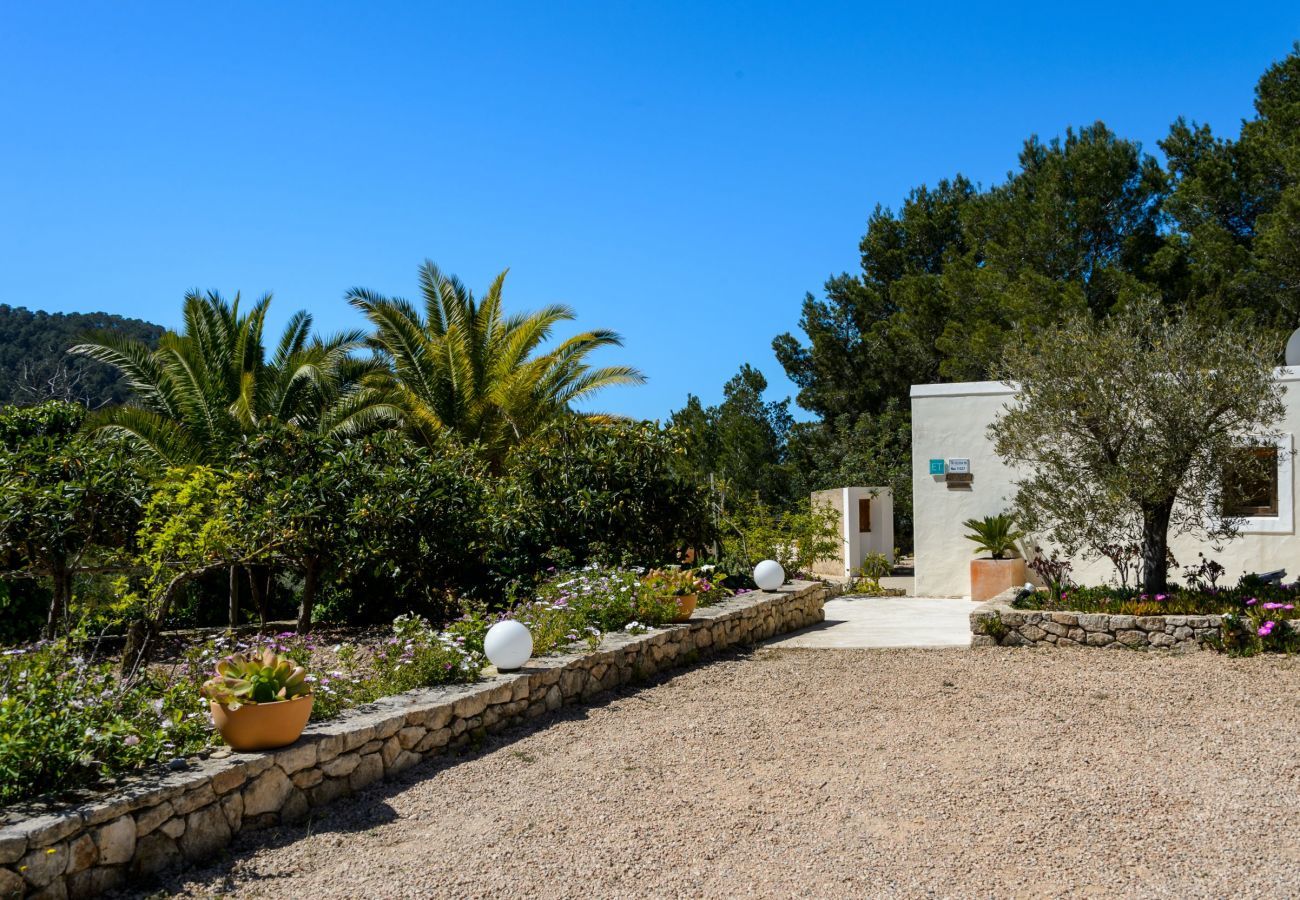 Villa in Sant Josep de Sa Talaia - Villa Serena