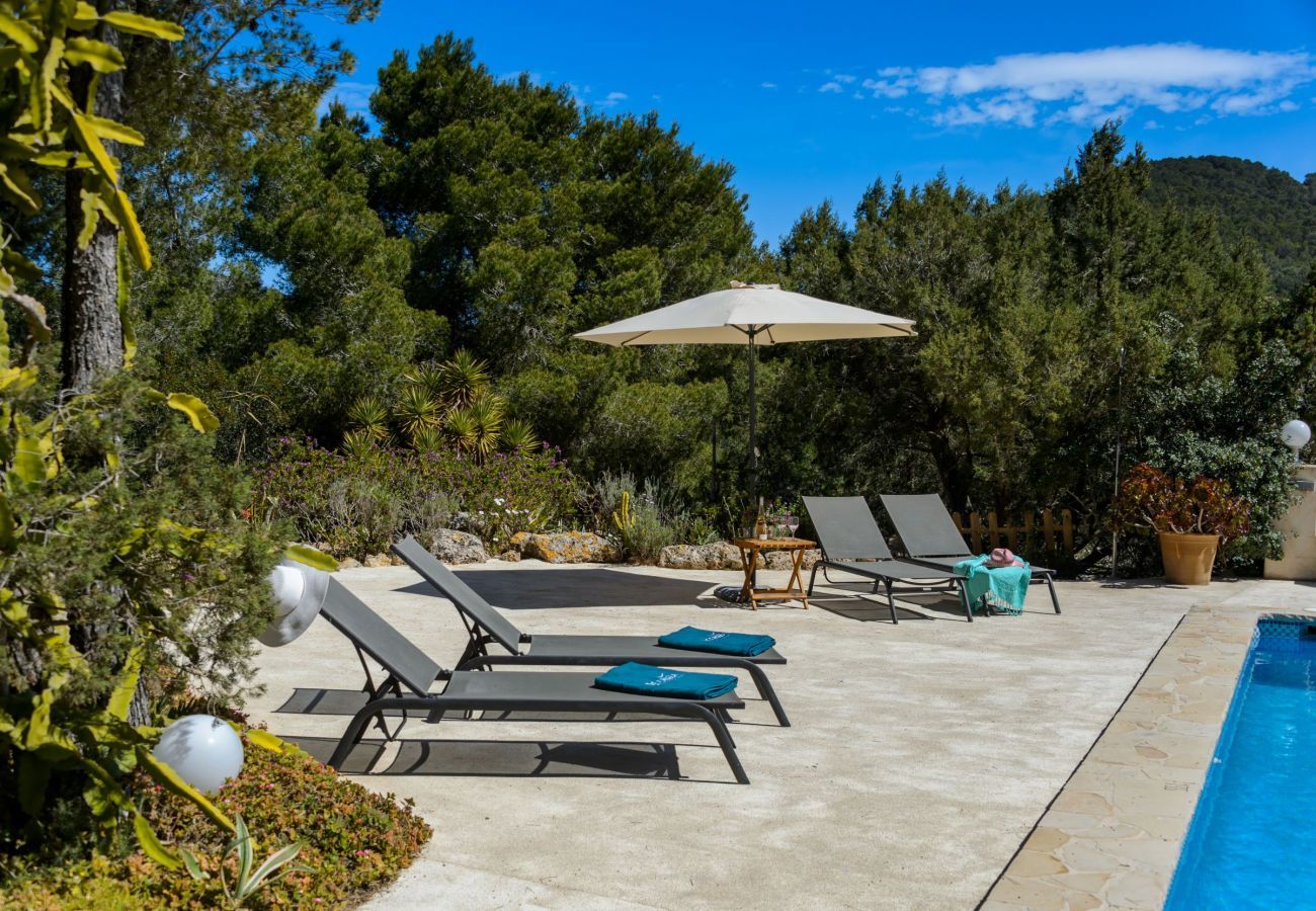 Villa in Sant Josep de Sa Talaia - Villa Serena