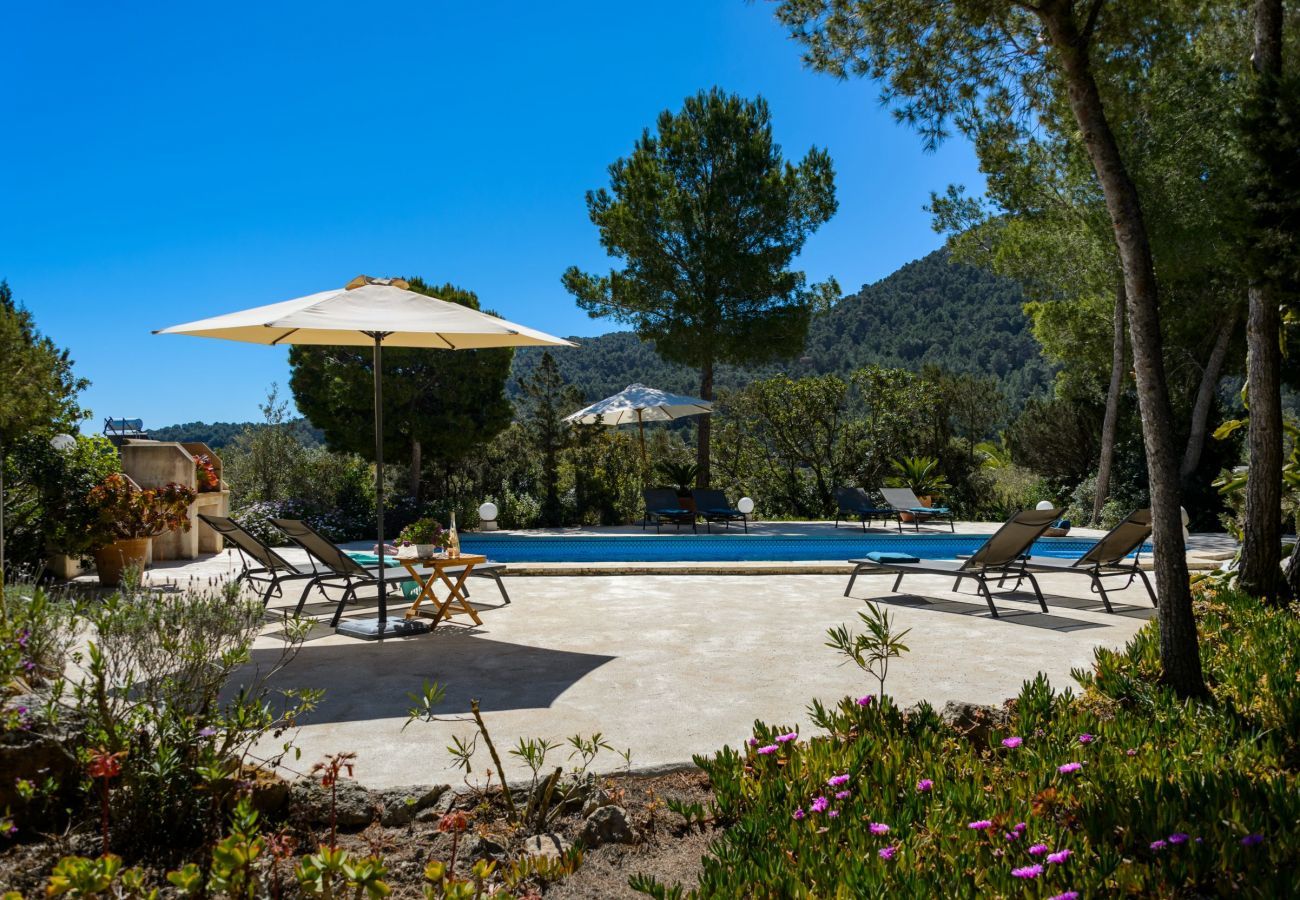 Villa in Sant Josep de Sa Talaia - Villa Serena
