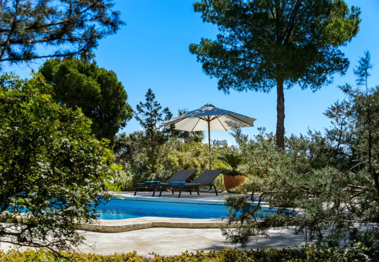 Villa in Sant Josep de Sa Talaia - Villa Serena