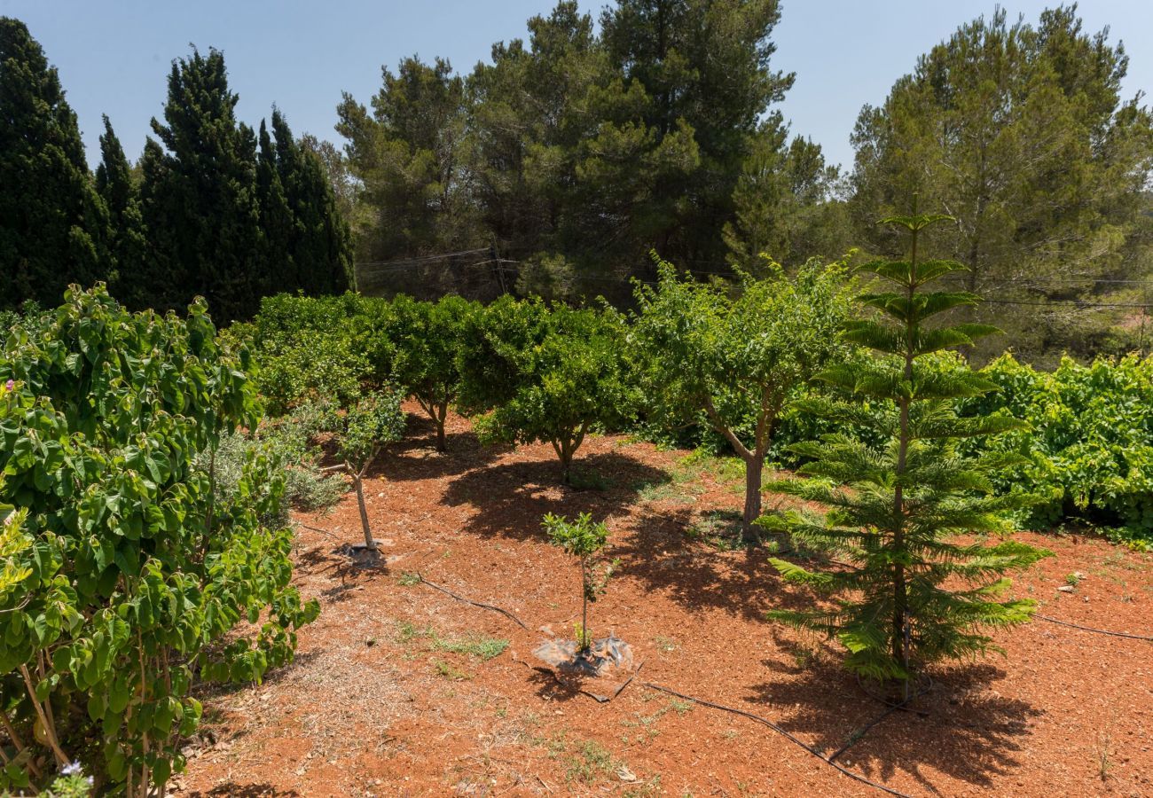 Stylish Spanish villa Casa Maravilla, with private pool, outdoor kitchen and spacious garden with flowers and plants