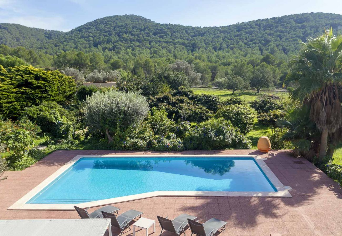 Villa in Ibiza / Eivissa - Villa Amara