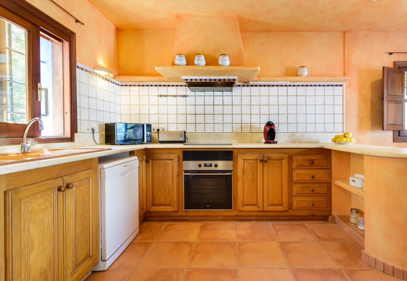 Villa in San Miguel/ Sant Miquel de Balansat - Villa Mischa