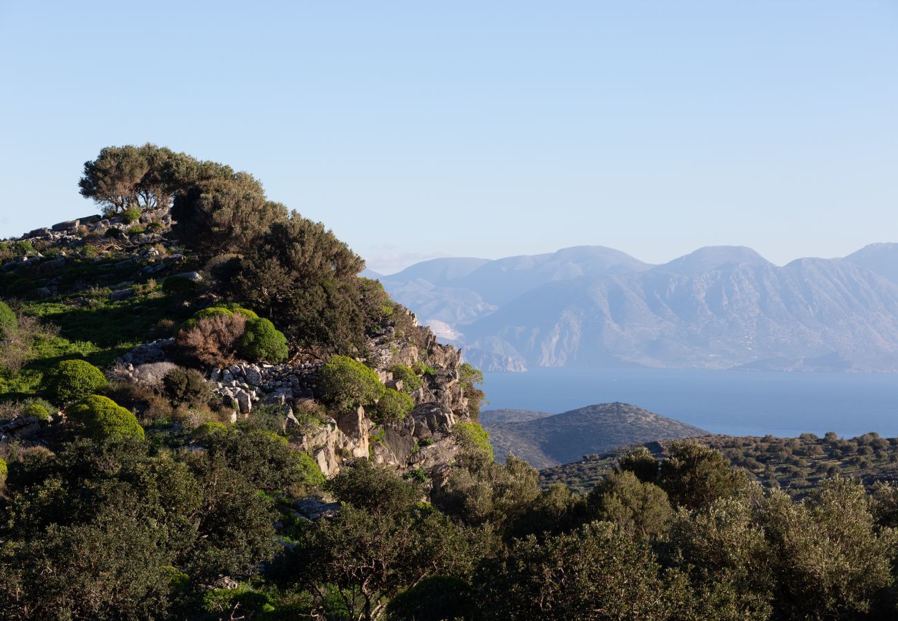 Villa in Elounda - Villa Melodie