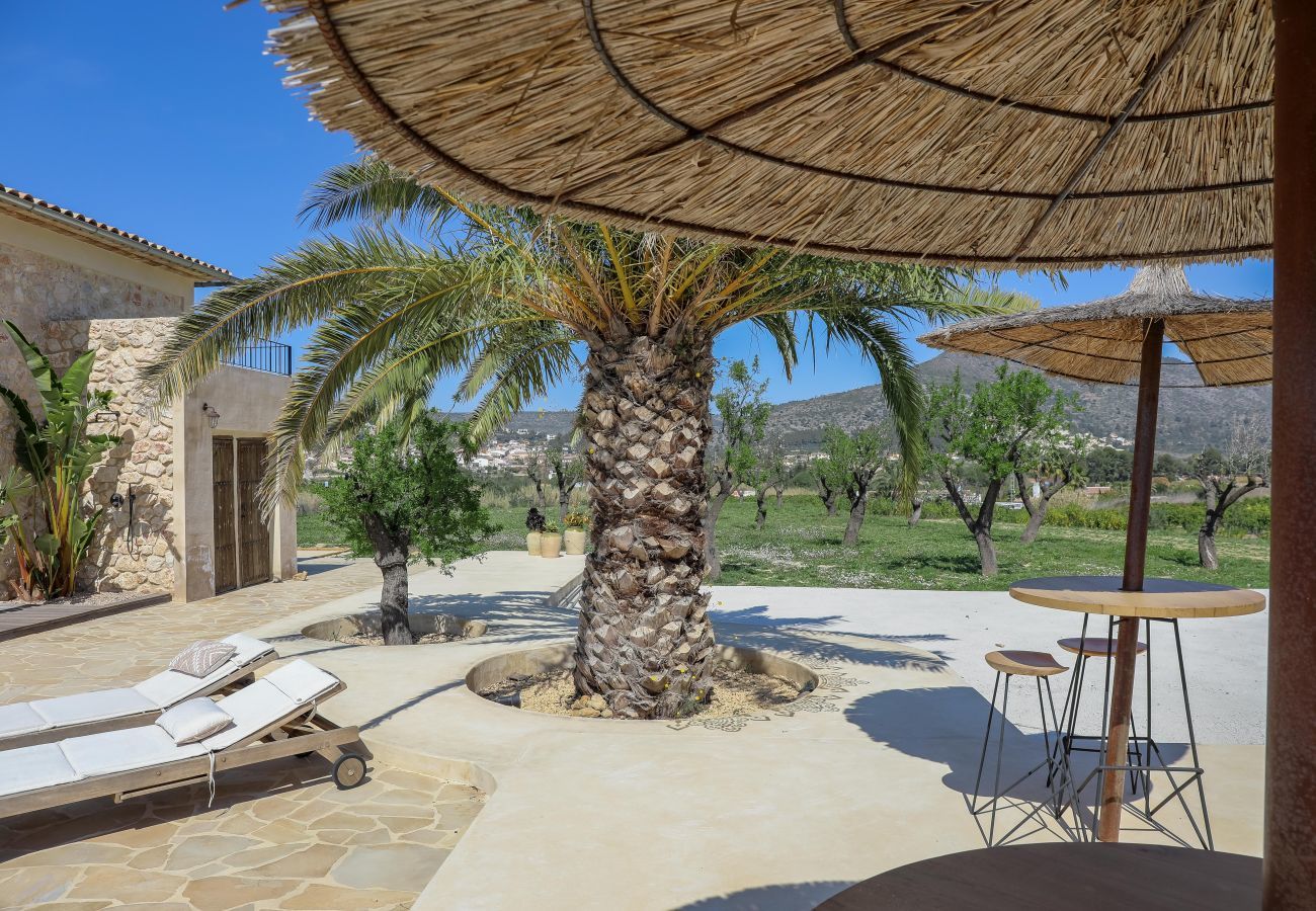 Villa in Jalón - Casita Travel | Finca Flor del Almendro