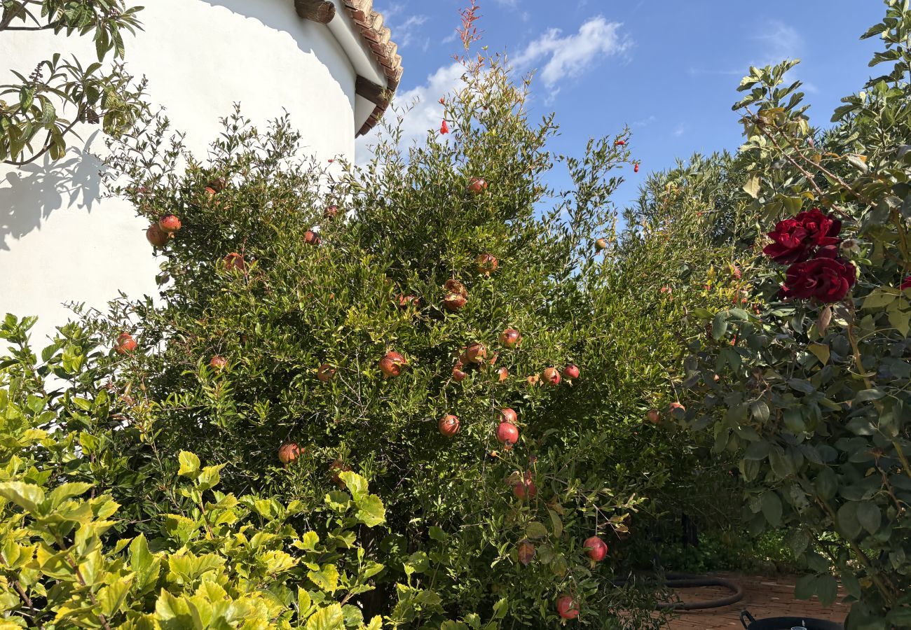 Villa in Los Guájares - Casa Balcon de Guardia Villa in Los Guájares - Casa Balcon de Guardia